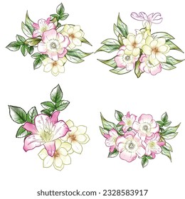 Flowers set. Collection of floral elements