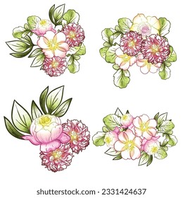 Flowers set. Collection of floral elements