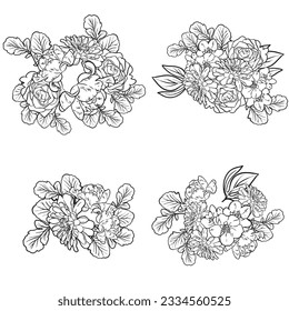 Flowers set. Collection of floral elements
