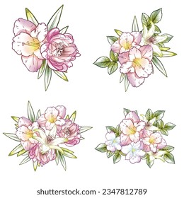 Flowers set. Collection of floral elements