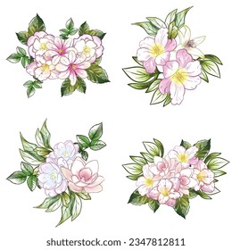 Flowers set. Collection of floral elements