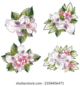 Flowers set. Collection of floral elements
