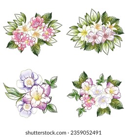 Flowers set. Collection of floral elements