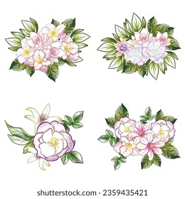 Flowers set. Collection of floral elements