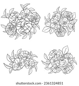 Flowers set. Collection of floral elements