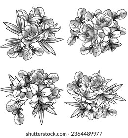 Flowers set. Collection of floral elements