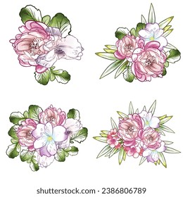 Flowers set. Collection of floral elements