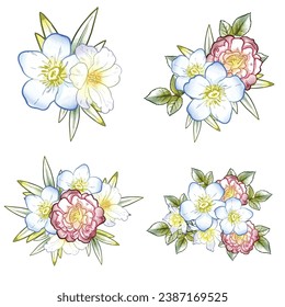 Flowers set. Collection of floral elements