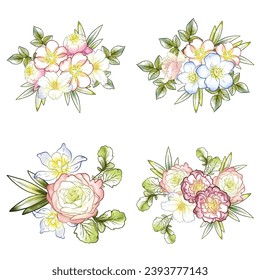 Flowers set. Collection of floral elements