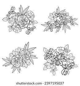 Flowers set. Collection of floral elements