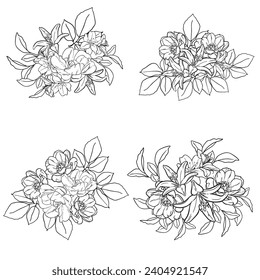 Flowers set. Collection of floral elements