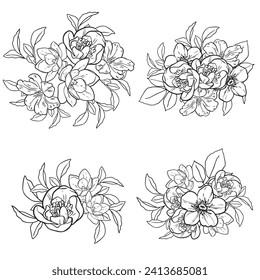 Flowers set. Collection of floral elements
