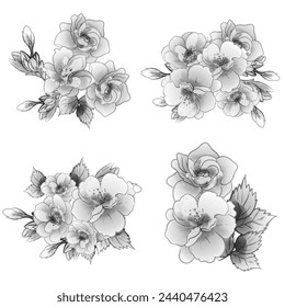 Flowers set. Collection of floral elements