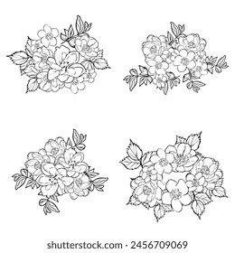 Conjunto de flores. Colección de Elementos florales