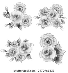 Flowers set. Collection of floral elements