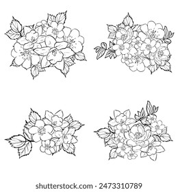 Flowers set. Collection of floral elements