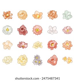 Flowers set. Collection of floral elements