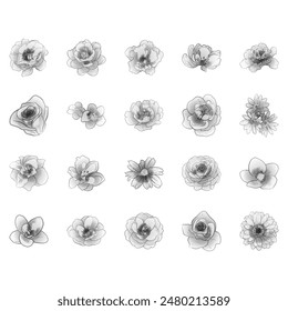 Flowers set. Collection of floral elements