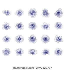 Flowers set. Collection of floral elements