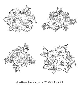 Conjunto de flores. Colección de Elementos florales