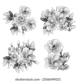 Flowers set. Collection of floral elements