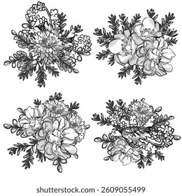 Flowers set. Collection of floral elements