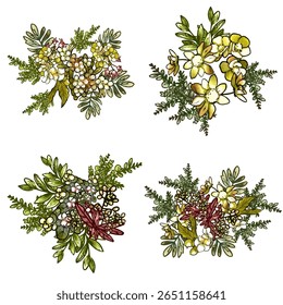 Flowers set. Collection of floral elements