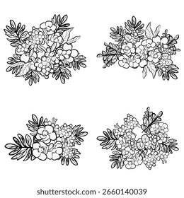 Flowers set. Collection of floral elements