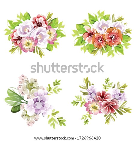 Flowers set. Collection of floral elements