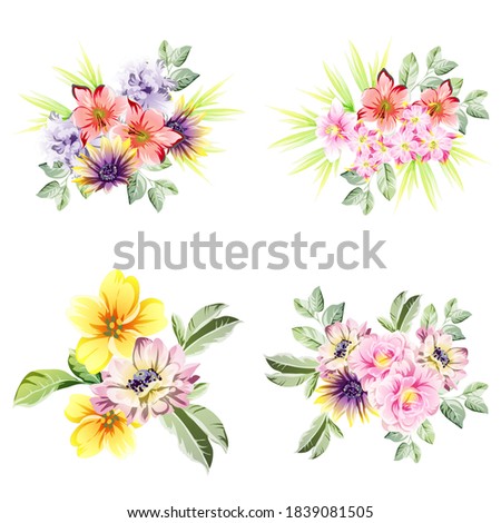 Flowers set. Collection of floral elements