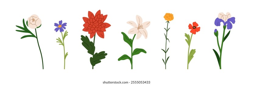 Flowers set. Floral branches, botanical natural elements collection. Rose, lily, iris, blooming stems, spring and summer blossoms, garden plants. Flat vector illustration isolated on white background