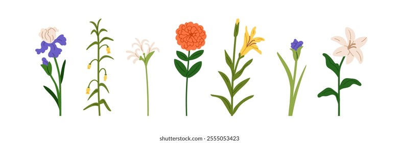 Flowers set. Floral plant branches, stems with blooming blossoms and leaf. Delicate natural botanical collection, spring garden elements. Flat vector illustration isolated on white background