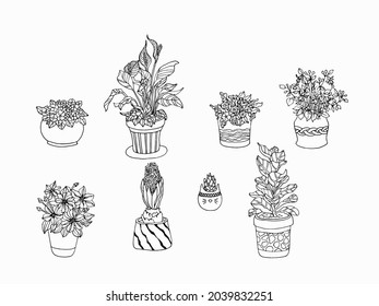 Flowers set graphic plants violet hyacinth ficus clematis spathiphyllum fuchsia succulent sketch black white illustration vector