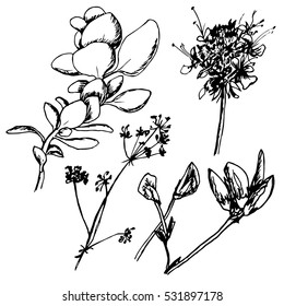 Flowers set hand draw stile (vector object)