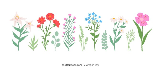 Flowers set hand drawn pencil. Cute simple doodle art. Floral of wildflower, leaf branch. Blossom illustration for decor, easter, sticker, clipart, print