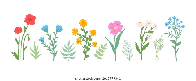 Flowers set hand drawn pencil. Cute simple doodle art. Floral of wildflower, leaf branch. Blossom illustration for decor, sticker, clipart, print