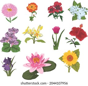 Flowers Set High Res Illustrations