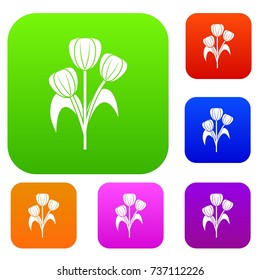 Flowers set icon color in flat style isolated on white. Collection sings vector illustration