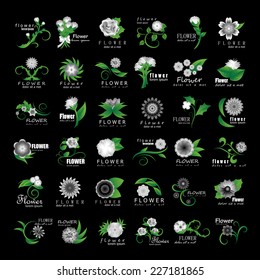 Flowers Set - Isolated On Black Background - Vector illustration, Graphic Design Editable For Your Design    