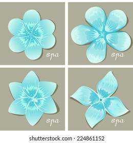 Flowers Set - Isolated On Gray Background - Vector Illustration, Graphic Design Editable For Your Design