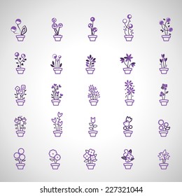 Flowers Set - Isolated On Gray Background - Vector illustration, Graphic Design Editable For Your Design 