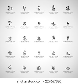 Flowers Set - Isolated On Gray Background - Vector illustration, Graphic Design Editable For Your Design 