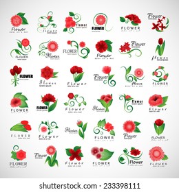 Flowers Set - Isolated On Gray Background - Vector illustration, Graphic Design Editable For Your Design