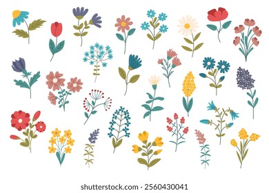 Flowers set isolated on white background. Hand drawn botanical collection of flowers. Nature, spring, summer, Ester concept.