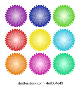 flowers set on white background realistic asters, chrysanthemums, peonies.