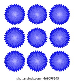 flowers set on white background realistic asters, chrysanthemums, peonies.
