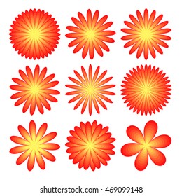 flowers set on white background realistic asters, chrysanthemums, peonies.