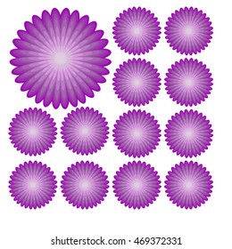flowers set on white background realistic asters, chrysanthemums, peonies.