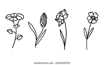 Flowers set in outline doodle flat style. Vector illustration set on white background.