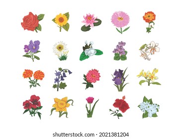 Flowers set, rose, sunflower, lotus, aster, zinnia, pansy, dasy, mogra, morning glory, marigold, lily, blue bell, dahlia